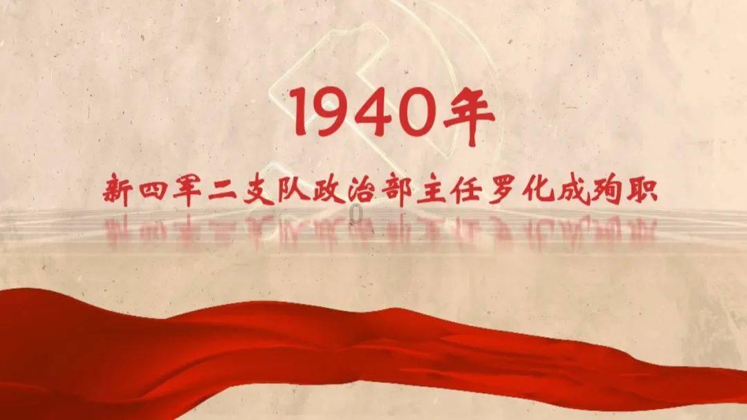 精灵格蕾